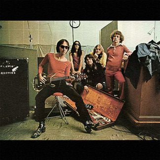 Flamin' Groovies, The – Teenage Head (Vinyl)