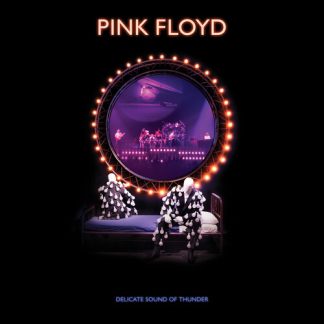 Pink Floyd - Delicate Sound Of Thunder (Vinyl, 3LP)