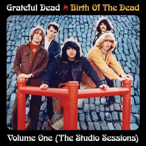 Grateful Dead, The - Birth of the Grateful Dead: Volume One-The Studio (180 Gram Vinyl, Limited Edition) (Vinyl)