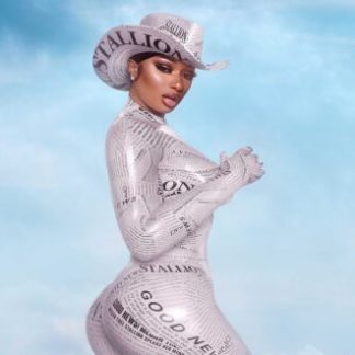 Megan Thee Stallion | Cowgirl (Poster)