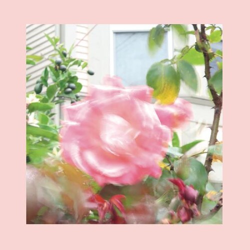 Reds Pinks and Purples - Summer At Land's End (Colored Vinyl, Yellow, Gatefold LP Jacket, Indie Exclusive, Digital Download Card)