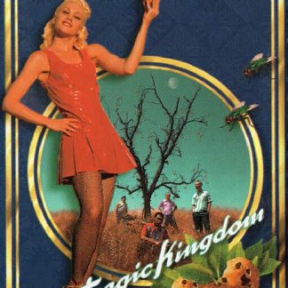 No Doubt | Tragic Kingdom (Poster)
