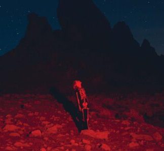 Phoebe Bridgers | Punisher (Poster)