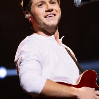 Niall Horan | In Concert (Poster)