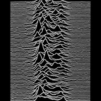 Joy Division | Unknown Pleasures (Poster)