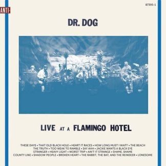 DR DOG - LIVE AT A FLAMINGO (Vinyl)