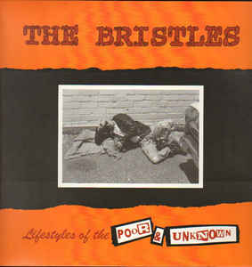 Bristles, The ‎– Lifestyles Of The Poor & Unknown (Orange Clear Vinyl)