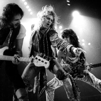 Van Halen | GROUP LIVE (Poster)