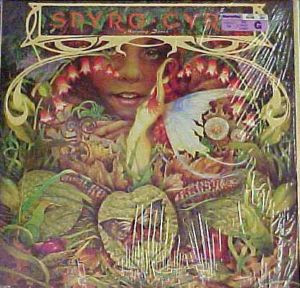 Spyro Gyra – Morning Dance (Vinyl)