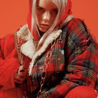 Billie Eilish | Red1 (Poster)