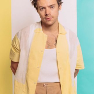 Harry Styles | Pastel Colors (Poster)