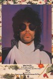 Prince | When doves Cry (Poster)