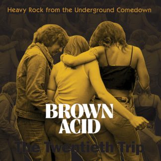 Various Artists - Brown Acid - The Twentieth Trip (Vinyl)