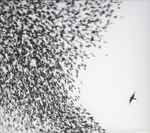 Wilco – Sky Blue Sky (CD/DVD)