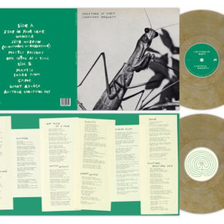 Courtney Barnett - Creature of Habit (INDIE EXCLUSIVE, CARAMEL VINYL) *PRE-ORDER*