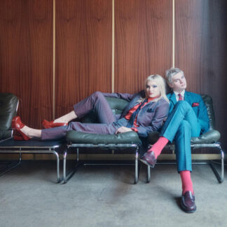 Molotovs, The - Wasted on Youth (IEX) (Indie Exclusive, Colored Vinyl, Pink, Blue)