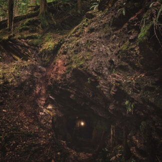 Baptists – Bloodmines (Vinyl)