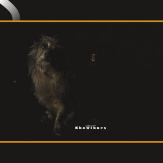 Lambchop - Showtunes (Translucent Orange Vinyl) (Colored Vinyl, Orange, Gatefold LP Jacket, Indie Exclusive, Digital Download Card) (Vinyl)