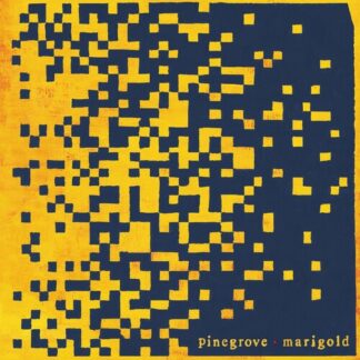 Pinegrove - Marigold (Vinyl)
