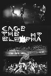 Cage The Elephant Poster