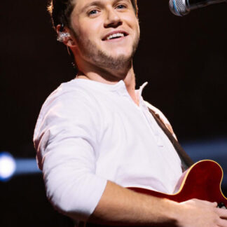 Niall Horan | In Concert (Poster)