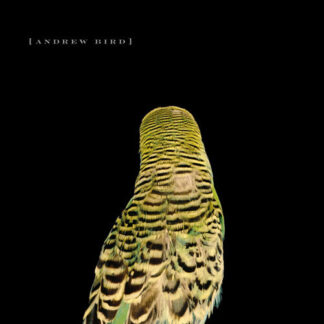 Andrew Bird - Armchair Apocrypha (Vinyl)