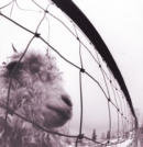 PEARL JAM - VS. (180G/GATEFOLD) (Vinyl)