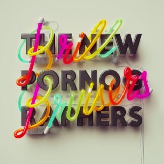 New Pornographers, The - Brill Bruisers (Vinyl)