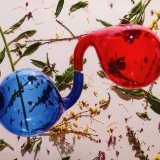 Dirty Projectors - Lamp Lit Prose [Indie Exclusive Limited Edition LP]