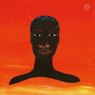 Femi Kuti & Made Kuti - Legacy+ (Vinyl)