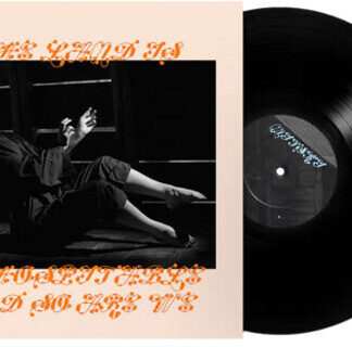 Mitski - The Land Is Inhospitable and So Are We (Vinyl)