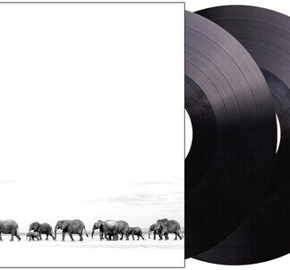 Dave Matthews Band - Where Are You Going: The Singles (140 Gram Vinyl, Gatefold LP Jacket)