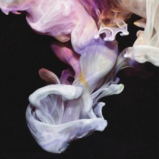 Simian Mobile Disco - Murmurations (Vinyl)