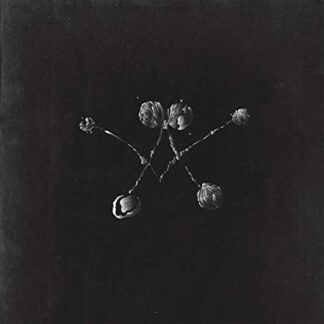 Waterstrider – Nowhere Now (Vinyl)