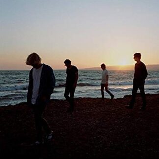 Charlatans, The ‎– Modern Nature (Vinyl)