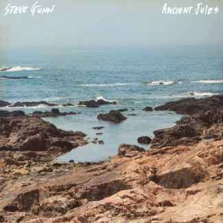 Steve Gunn ‎– Ancient Jules (Vinyl)