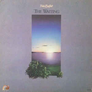 Peter Buffett ‎– The Waiting (Vinyl)
