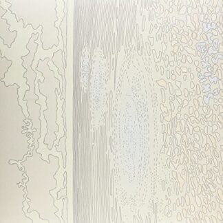 Mutual Benefit ‎– Skip A Sinking Stone