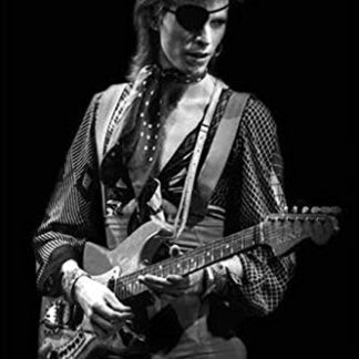 David Bowie / Ziggy Live Poster