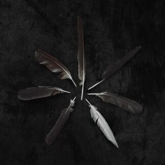Caspian ‎– Dust And Disquiet (New)