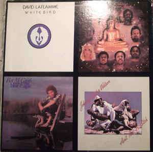 Various Amherst Records Distributed Artists - No Title (Vinyl)