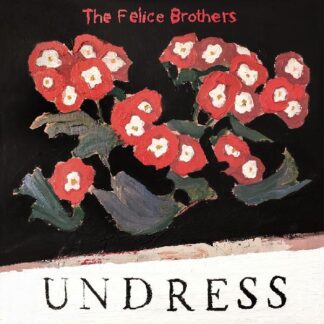 Felice Brothers, The - Undress (COLOR VINYL) (Vinyl)