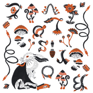 Boris - Love And Evol (Clear Vinyl, Orange, Indie Exclusive)