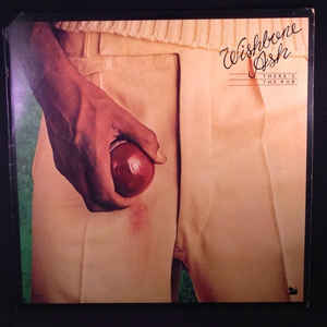 Wishbone Ash ‎– There's The Rub (Vinyl)