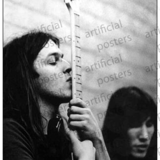 Pink Floyd | Guitar | Music| (Poster)