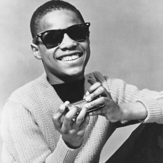 Stevie Wonder | Harmonica (Poster)