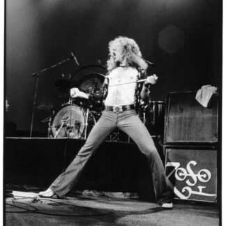 Led Zeppelin | Robert Plant Live (Poster)