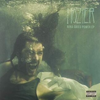 Hozier | Nina Cried (Poster)