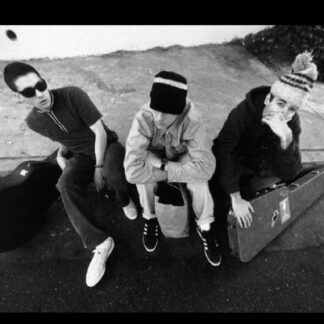 Beastie Boys | Check Your Head (Poster)