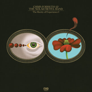 Chris Forsyth & The Solar Motel Band – The Rarity Of Experience (Vinyl)